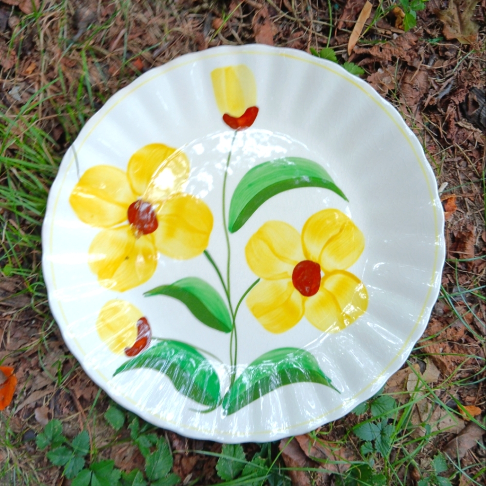 Blue Ridge Potteries USA CELANDINE Dinner Plate